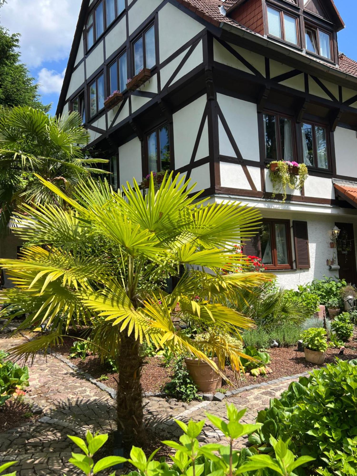 Einliegerwohnung In Einer Muehle Vor Den Toren Frankfurts, Ideal Fuer Messegaeste Oder Stop Over Dreieich Exterior foto